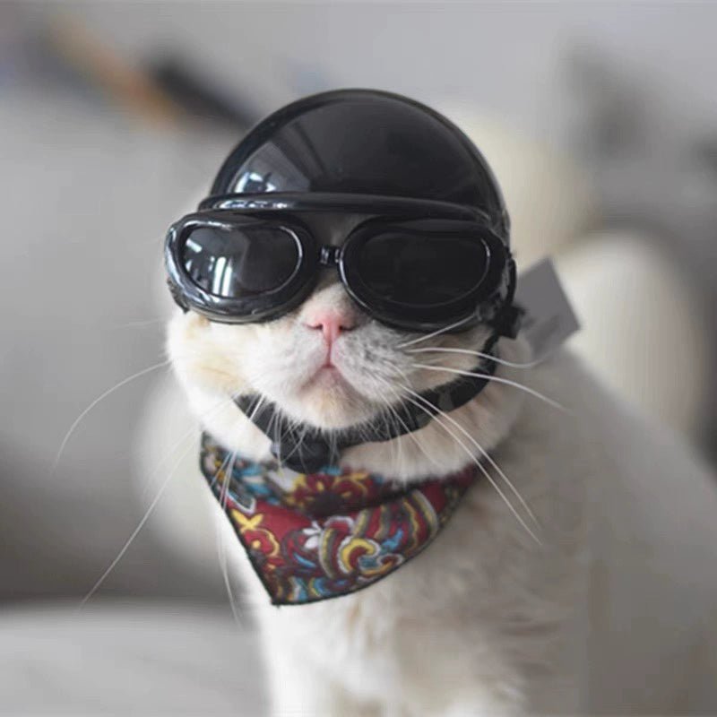 Motorcycle Helmet for Cat - Savile Speed Co.