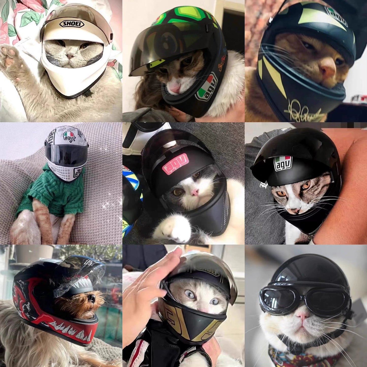 Motorcycle Helmet for Cat - Savile Speed Co.