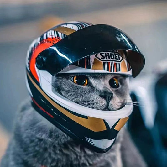Motorcycle Helmet for Cat - Savile Speed Co.